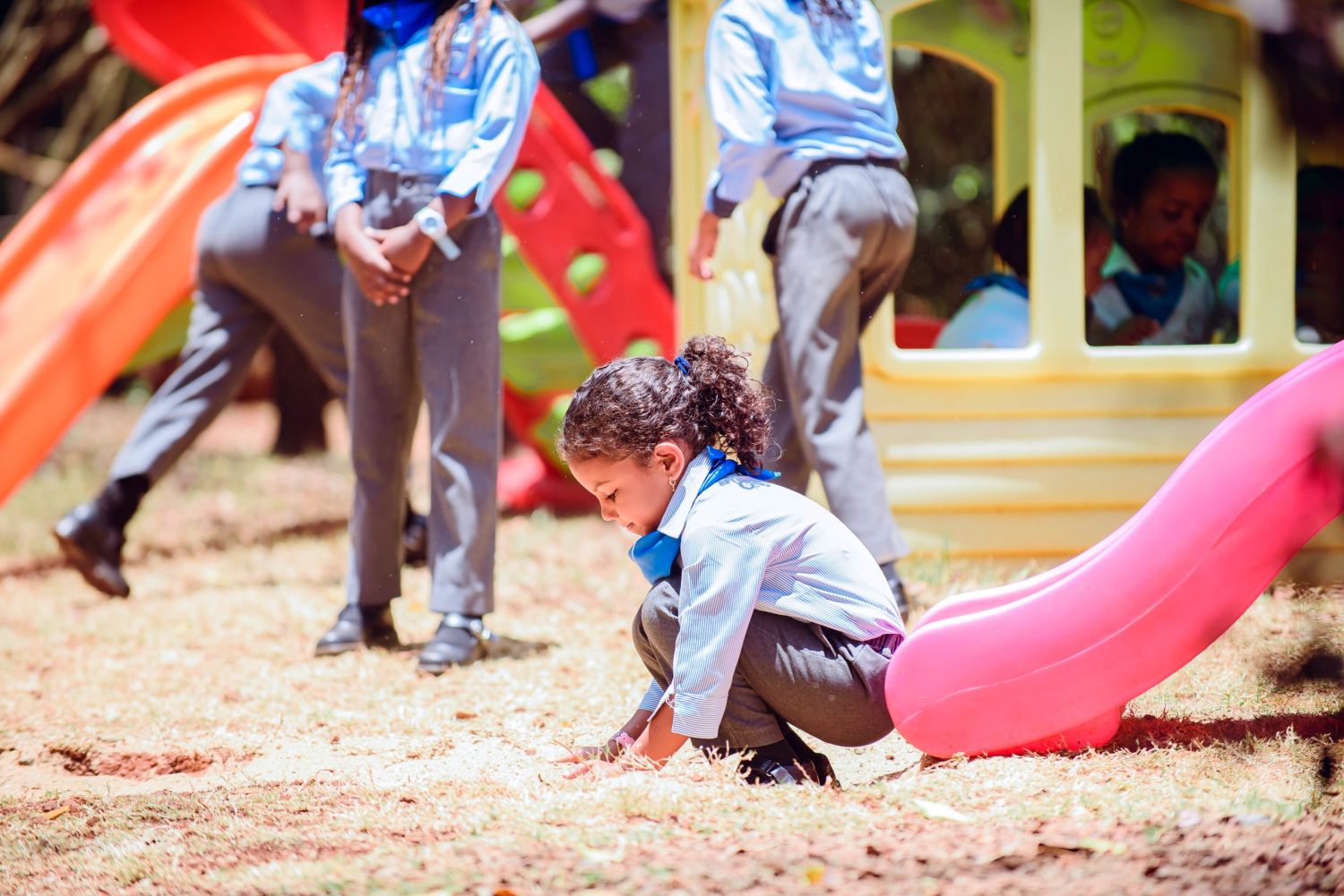 Fun-Filled Playground