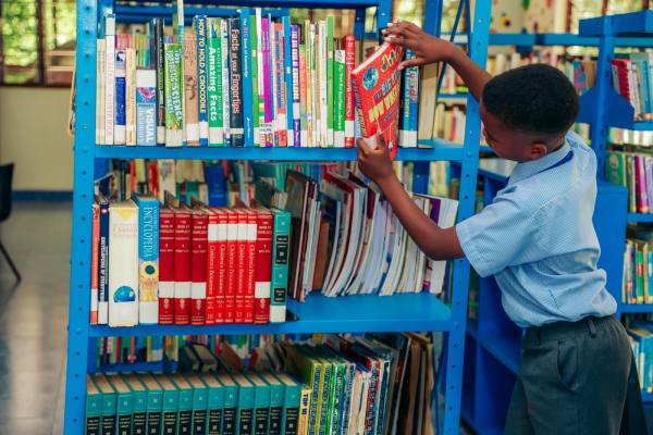 Library & Digital